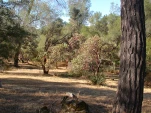 DSCN0471