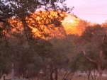 DSCN0465