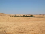 DSCN0405