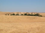 DSCN0404