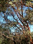 DSCN0424