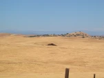 DSCN0406