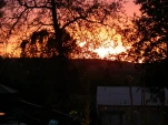 DSCN0466