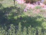 DSCN0428