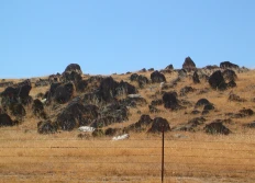 2004