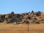 DSCN0410