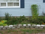 DSCF0041