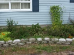 DSCF0040