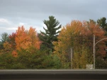 DSCF0063