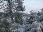 DSCN0564