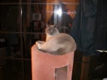 DSCN0556