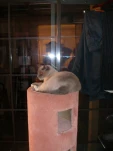 DSCN0557