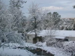 DSCN0563