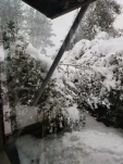 20191129 134513