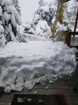 20191129 092646