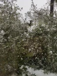 20191129 133509