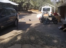 2020 Front Walk