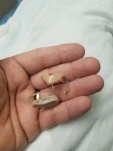 20200328 165059