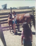 Scan 300