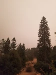 20200906 100041