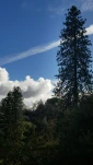 20201226 131947