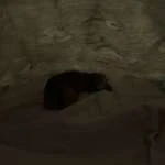 DSCF1326 t