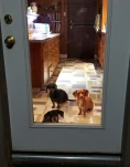 20190411 001444