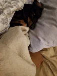 20190125 205900