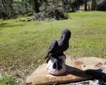 20190329 105905