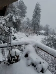 20190217 135830
