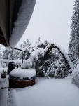 20190205 070940