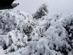 20190205 132147