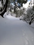 20190205 160051