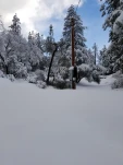 20190205 154559