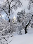 20190205 155608