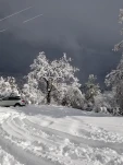 20190205 144826