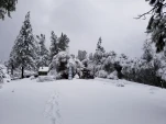 20190205 132952