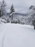 20190205 141520