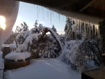 20190206 072424