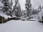 20190205 135308
