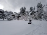 20190205 135707
