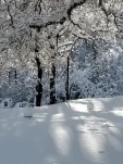 20190205 160727