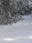 20190205 160717