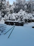 20190205 162530