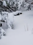 20190205 155114