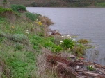DSCN0490