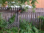 DSCN0504