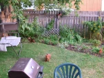DSCN0503