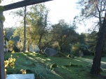 DSCF1196