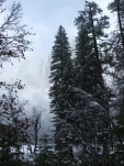 DSCF1440